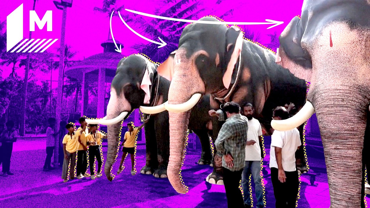 Robot Elephants Are Replacing Real Ones in an Indian Temple