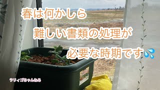 春は何かしら難しい書類の処理が必要な時期です💦 by ラリィゴ 45 views 1 month ago 5 minutes, 57 seconds