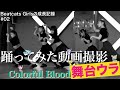 Beatcats Girlsドキュメンタリー vol.2「Colorful Blood」