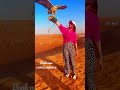 Dubai desert safari  tour