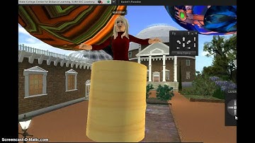 Second Life Demo Video