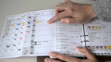 How I Use My DIY Fish v2.2 Inserts // Pink Planner Girl