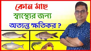 জনপ্রিয় পাঁচটি মাছের আশ্চর্যজনক উপকারিতা।কোন মাছ স্বাস্থ্যের পক্ষে ক্ষতিকর?Health Benefits Of fish.