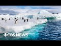 Antarctica and Climate Change Quiz