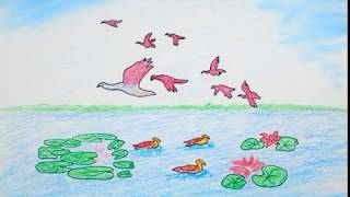 flying birds draw step scenery beginners children