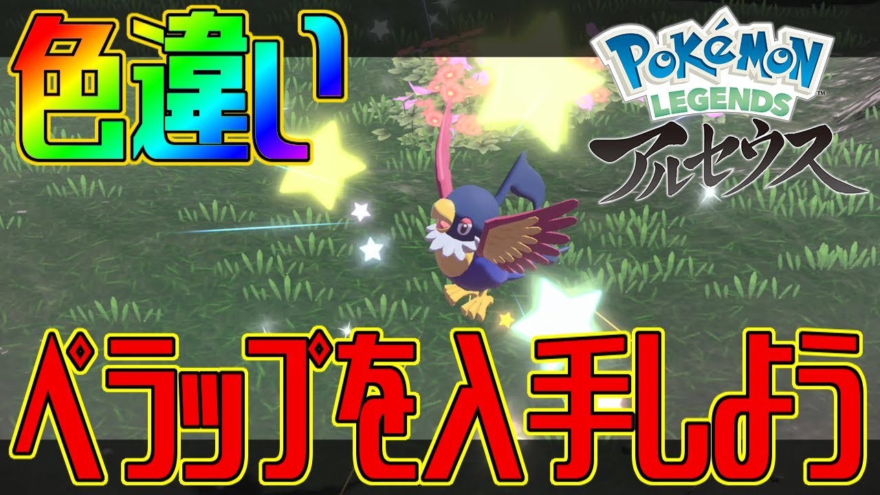 ポケモンアルセウス 色違いペラップを入手しよう Pokemon Legends アルセウス Youtube