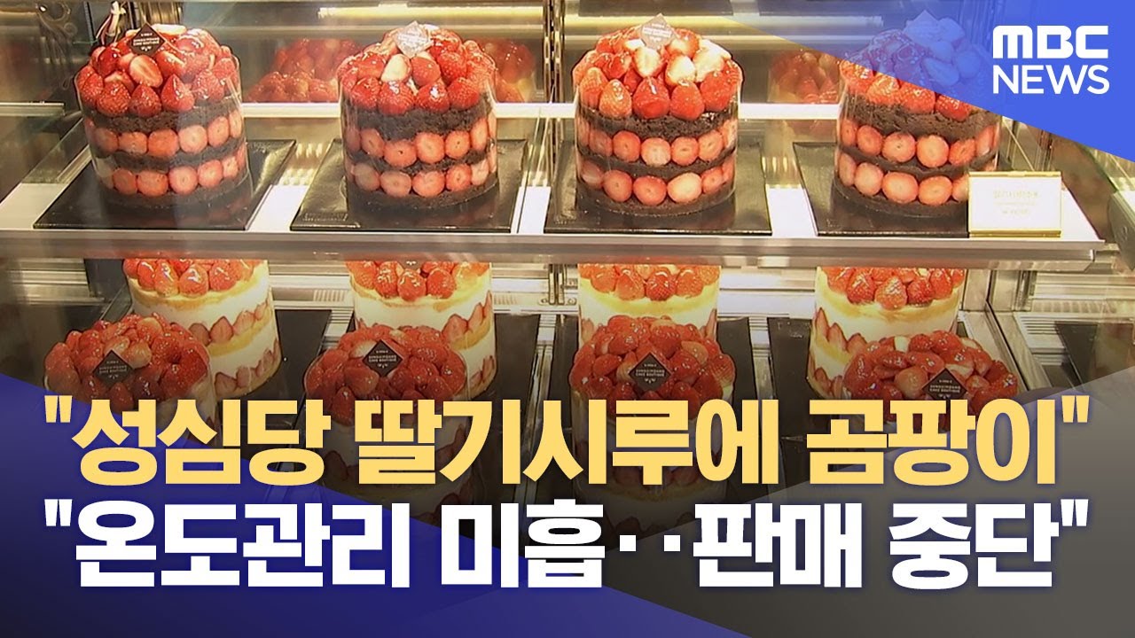 딸기시루에 곰팡이?‥ 성심당 