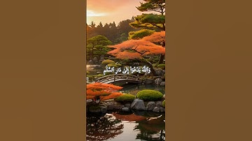 {وَٱللَّهُ يَدۡعُوٓاْ إِلَىٰ دَارِ ٱلسَّلَٰمِ ...}(25) سورة يونس #القرآن_الكريم