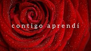 Contigo aprendí Andrés Calamaro Letra
