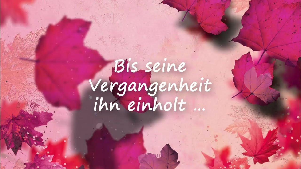 Ravensburger Bücher Die neue Maple Creek Dilogie von Alexandra Flint