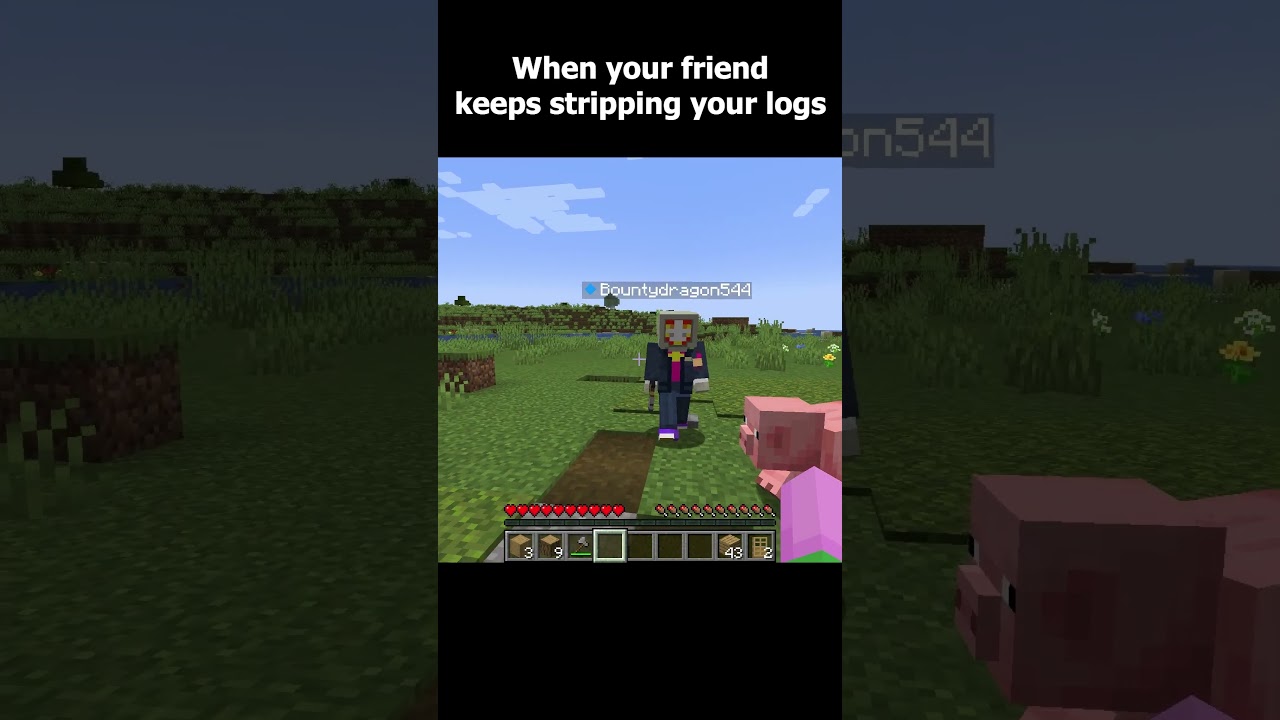 You can strip my logs #minecraft #minecraftmemes #funny