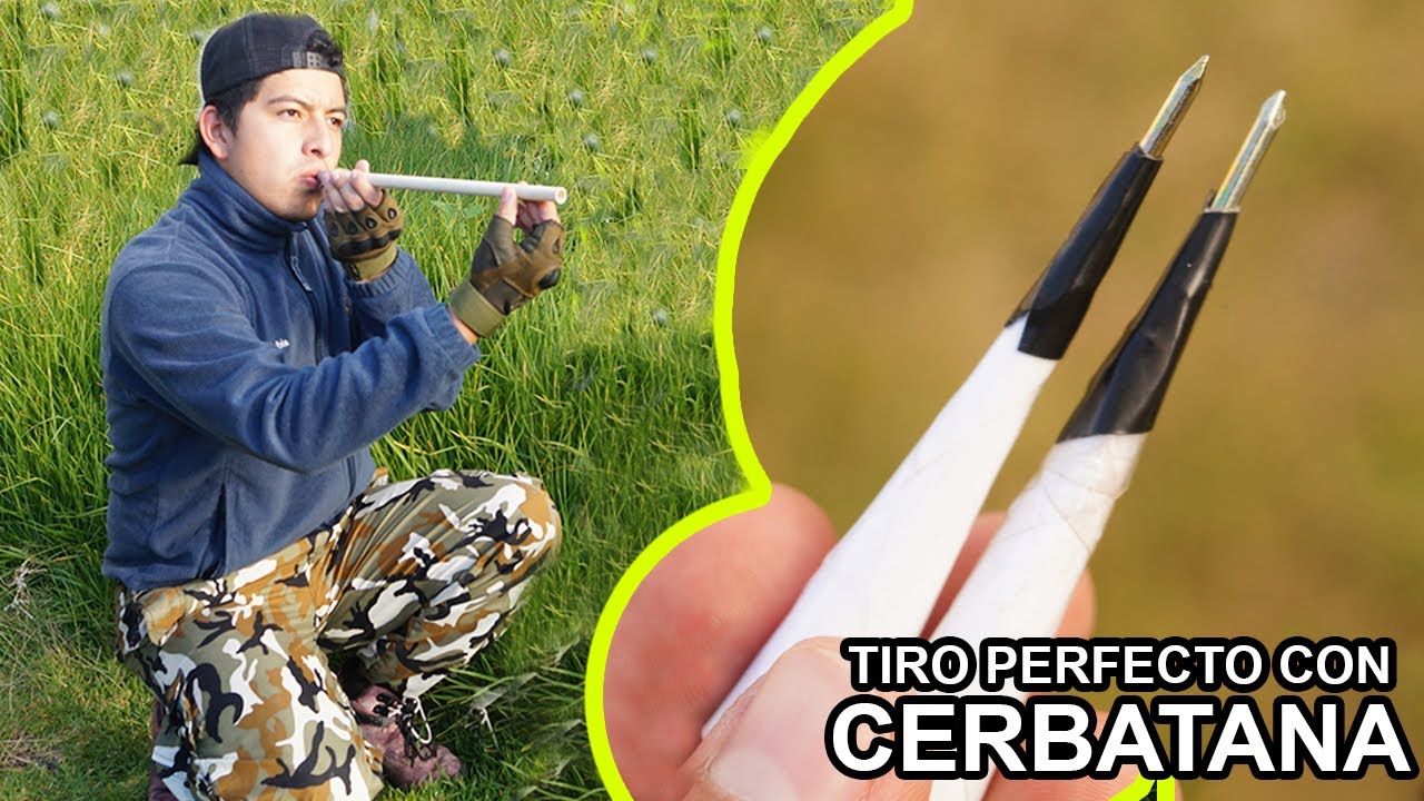 Hacer tiros Increíbles Precisos Con Cerbatana - TUTORIAL - YMX  supervivencia 