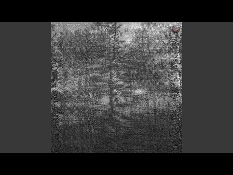 Тень - дагон