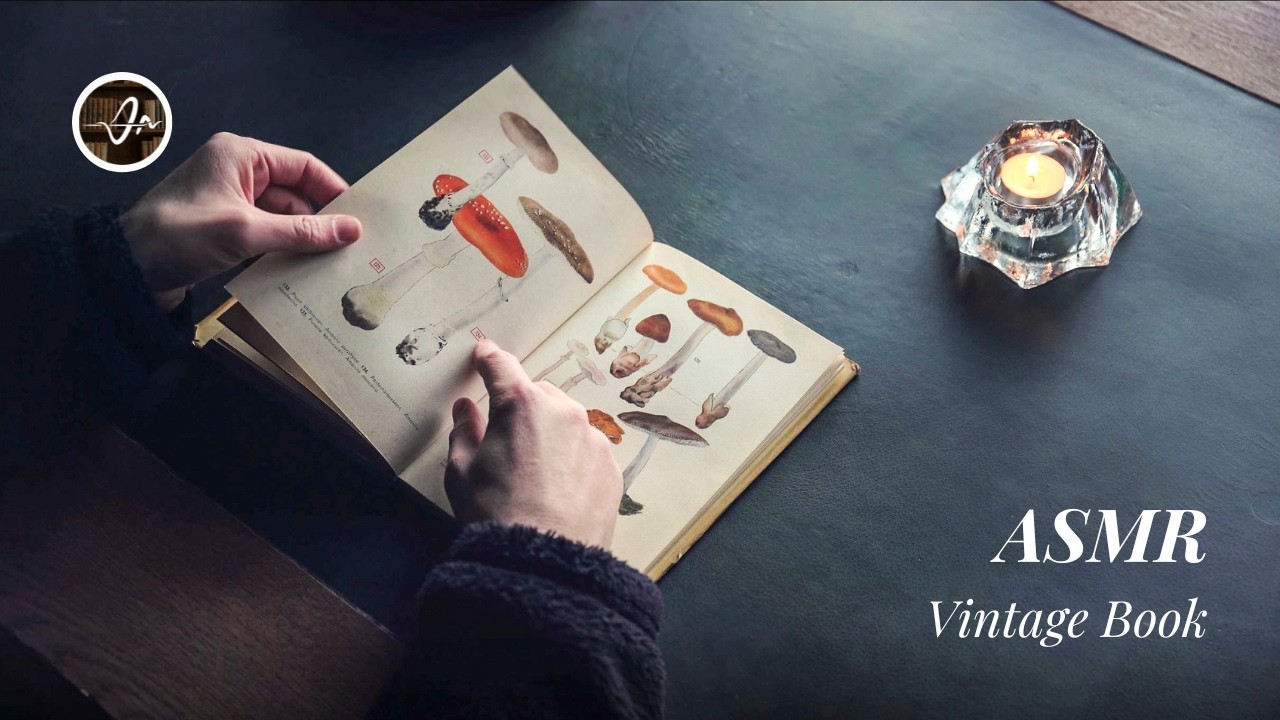 Page Turning ASMR | Mushrooms 1966 Vintage Book