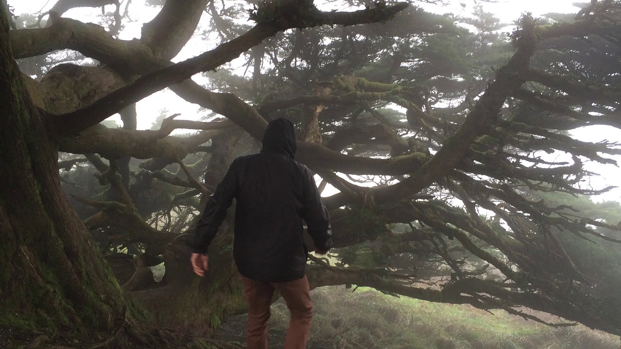 Andrew Lovely - Gravity