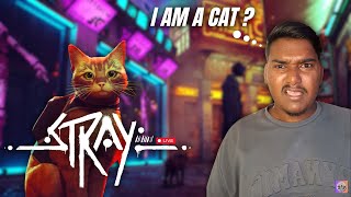 AAJ  MAI CAT BANKE KHELUNGA 😸  |  STRAY LIVE STREAM