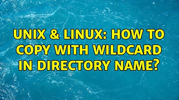 Unix & Linux: How to copy with wildcard in directory name?