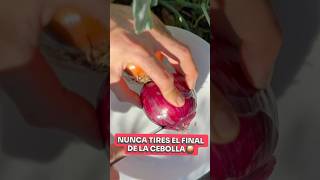 🧅RE-SIEMBRA de Cebollas al Cocinar! 🧑‍🍳