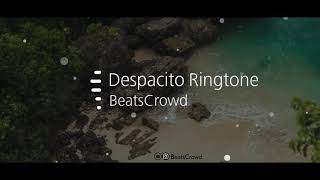 Despacito Ringtone | Despacito Song | Despacito cover| Despacito Flute| Despacito Remix| BeatsCrowd