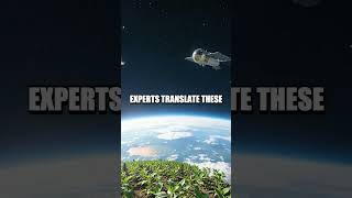 Microgravity Lessons from a Hanging Leaf