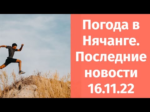 Погода в Нячанге 15 ноября 2022 | За что штрафуют туристов в Нячанге | Экскурсии в Нячанге