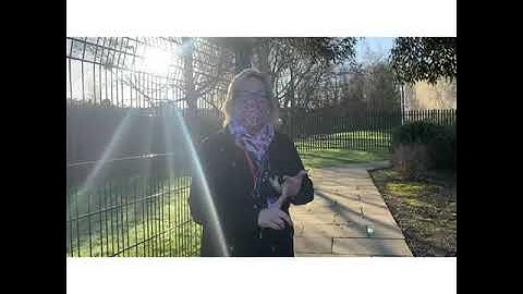 Having a lateral flow test at Countesthorpe Academy