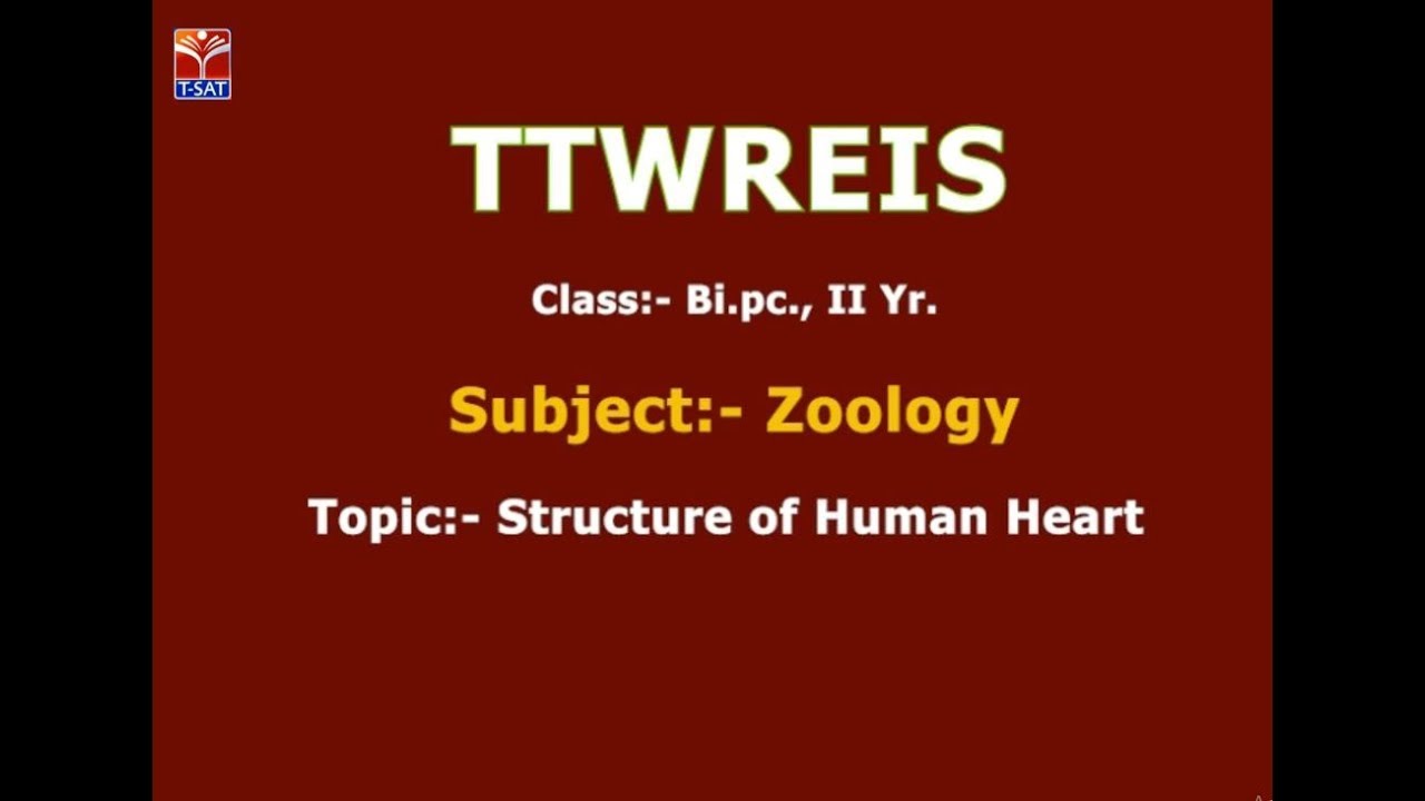 TTWREIS || Zoology - Structure of Human Heart || Live With B. Shilpa upscale furniture stores