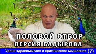 Половой отбор. Версия Бадырова. Уроки здравомыслия и критического мышления. Часть 7.