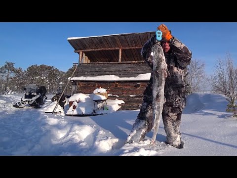 Видео: ВДВОЕМ в тайге на огромном озере! ТРОФЕИ на жерлицы.