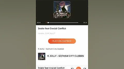 STEVE-O R. KELLY & CRUCIAL CONFLICT (SNAKE REMIX)