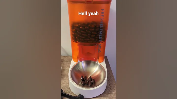 Cat Feeder Snacks