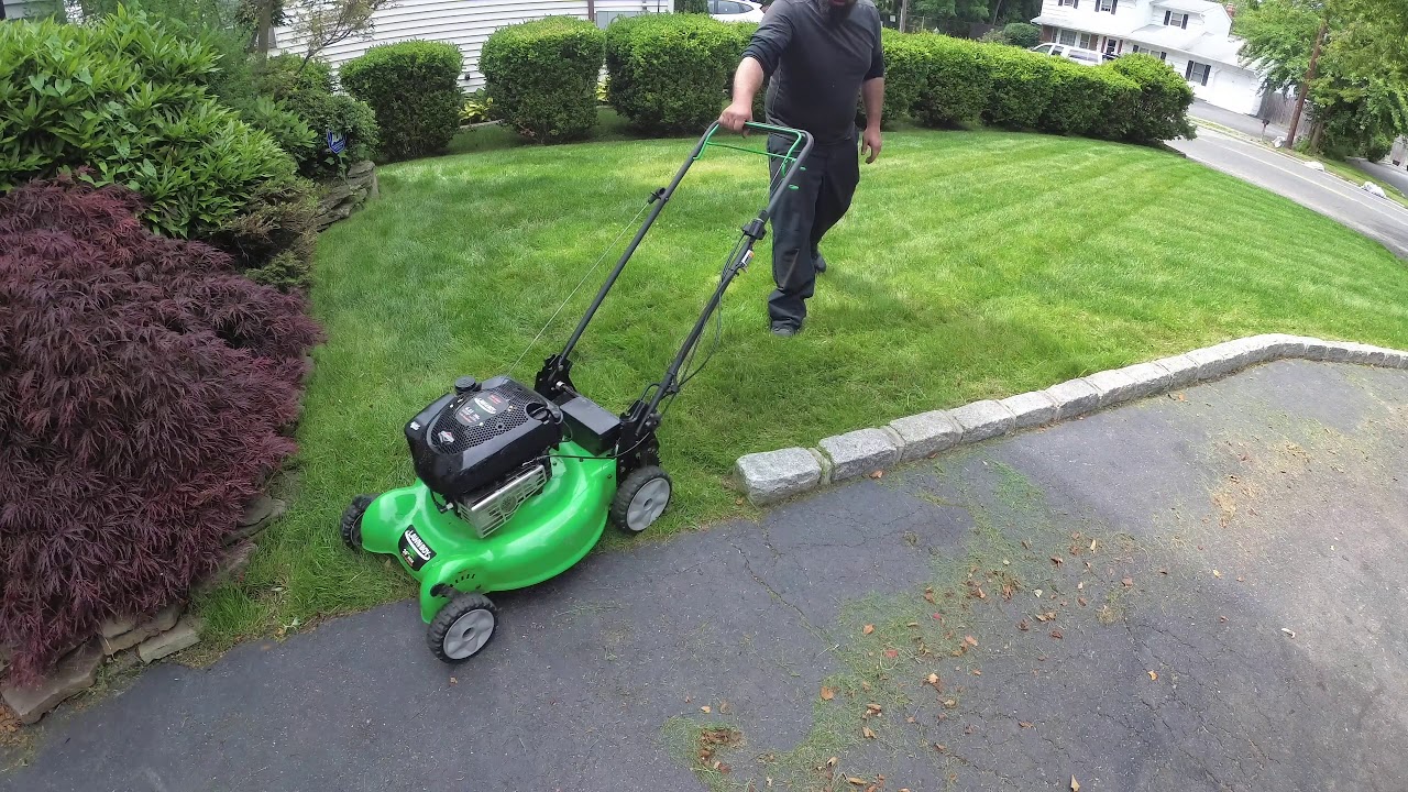 Kentucky 31 Tall Fescue Grass Long Island Weekly Cut Lawnboy Lawn Mower kentucky-31-tall-fescue-grass-long-island-weekly-cut-lawnboy-lawn-mower