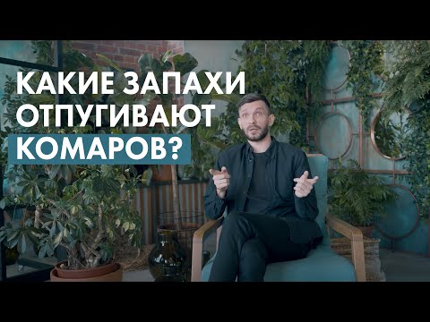 Видео: 10 натуральных ингредиентов, которые отталкивают комаров