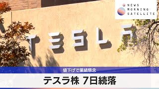 テスラ株 7日続落　値下げで業績懸念【モーサテ】（2024年4月23日）