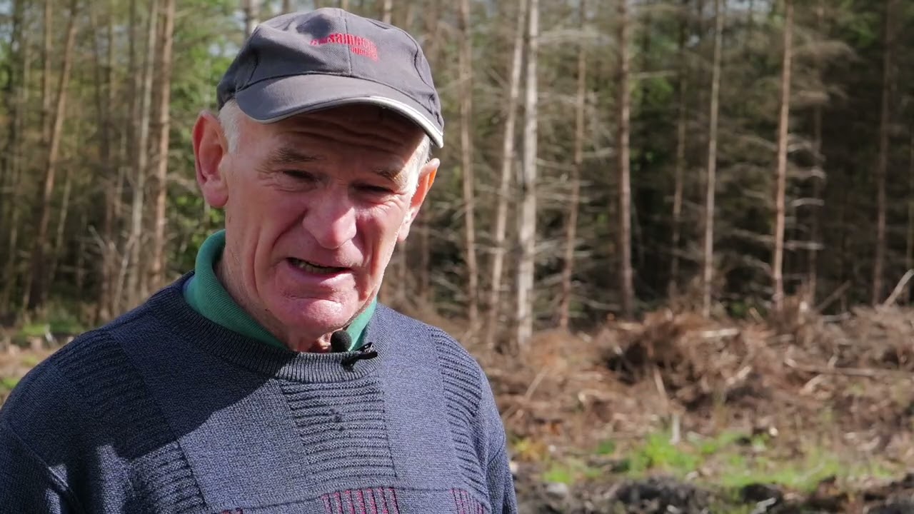 Battling the Windblow: Gerard O'Sullivan's Story of Recovery and Resilience