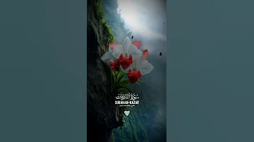 سورة النازعات للقارئ الطفل عبد الله احمد شعبان حفظه الله 