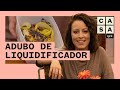 🍌 Aprenda a fazer ADUBO CASEIRO para alimentar suas plantas | Plante Você Mesmo | Carol Costa