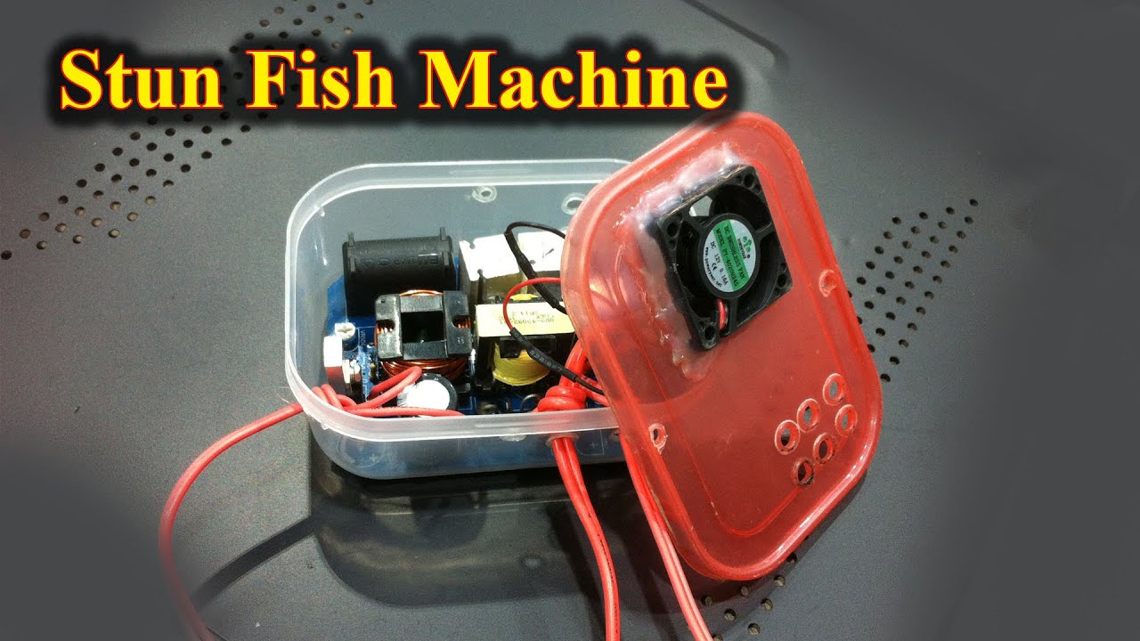 Homemade Stun fish 12VDC YouTube