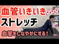 血管いきいきストレッチ　動脈硬化予防　血管をしなやかに！＃45