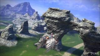 TERA Flying