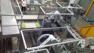 SMTA Tray Inserter