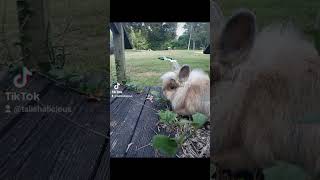 He Really Is The Cutest