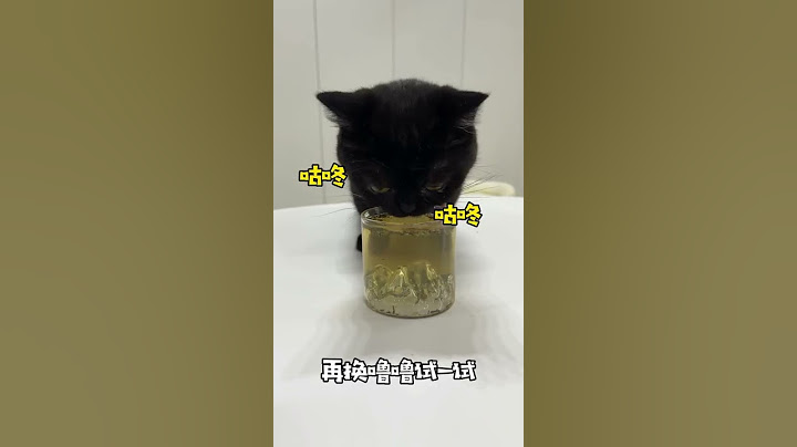 【一只黑糖啵啵🐻】万万没想到猫咪喝了猫薄荷后会这样！？