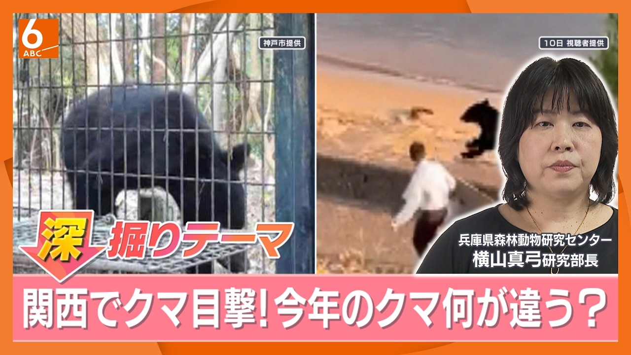 関西でもクマ目撃相次ぐ 兵庫県は個体数を調整しているが…識者「人に