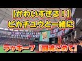 【かわいすぎる！】ピカチュウと一緒に『闘魂こめて』（東京ドーム）