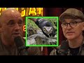 Joe Talks Pythons and Alligators with Greg Fitzsimmons