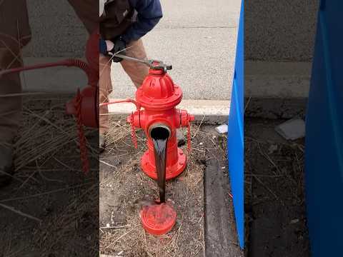 52 Page Street Fire Firefighter Jumpedpitpoint Without Baner