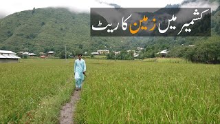 Leepa Valley Kashmir me Zameen ki Price | Property Rait In Kashmir