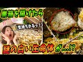 【閲覧注意】死滅したミツバチの巣を解体したらとんでもないものが...！？