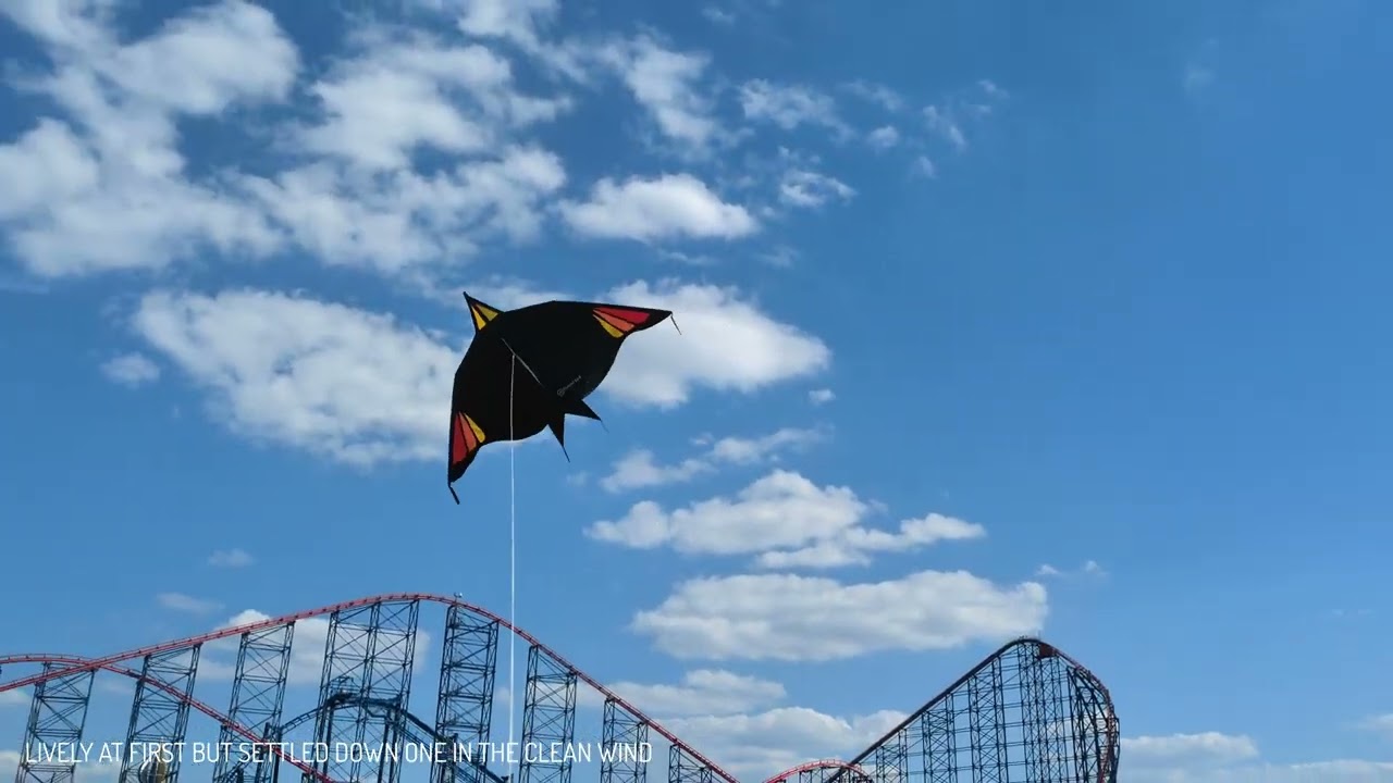 PLEASURE BEACH LIGHT WIND KITES